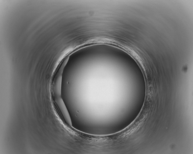 X0000096180997200801251211