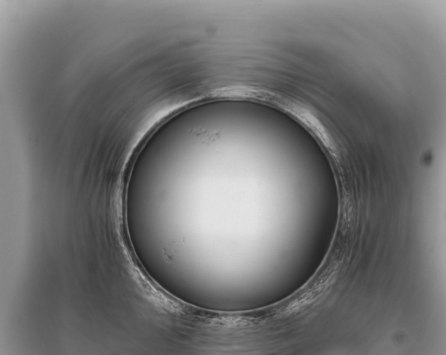 X0000096181000200801251211