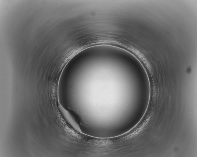 X0000096181001200801251211