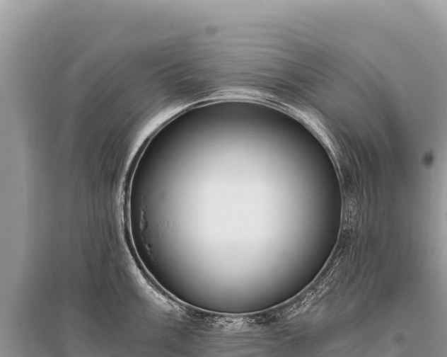 X0000096181003200801251211