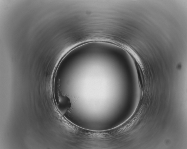 X0000096181004200801251211