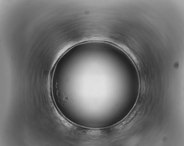 X0000096181006200801251211