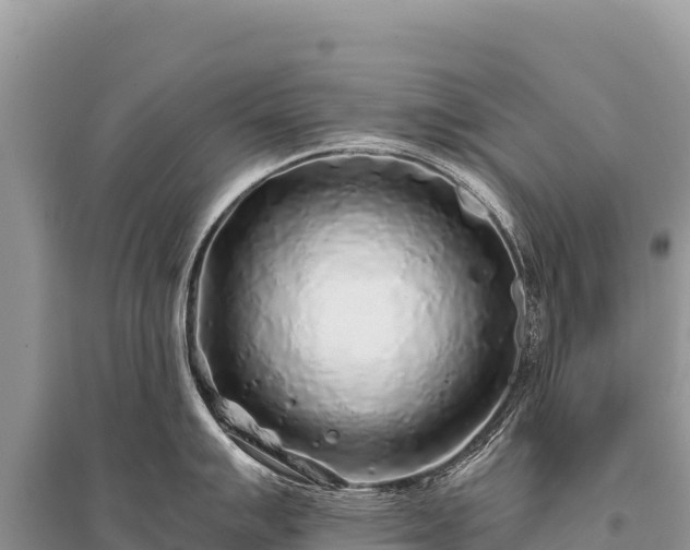 X0000096181007200801251211