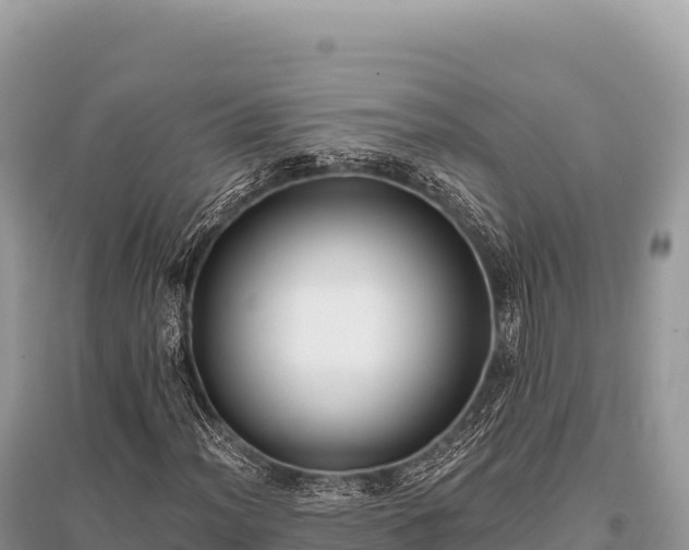 X0000096181012200801251210