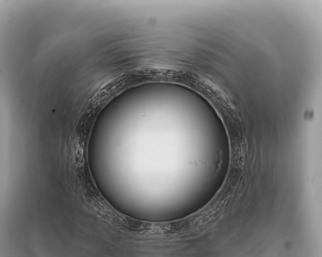 X0000096181013200801251211