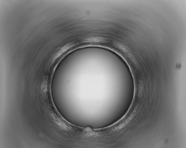 X0000096181017200801251211
