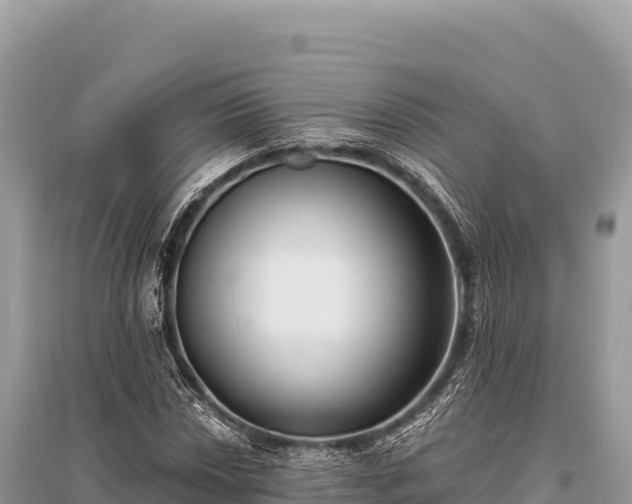 X0000096181018200801251211