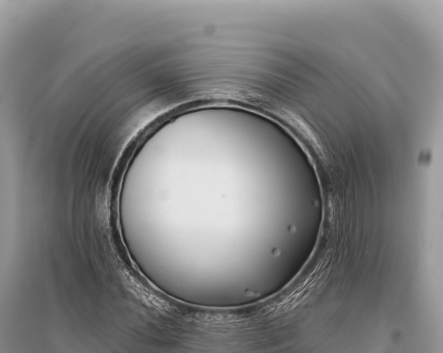 X0000096181020200801251211