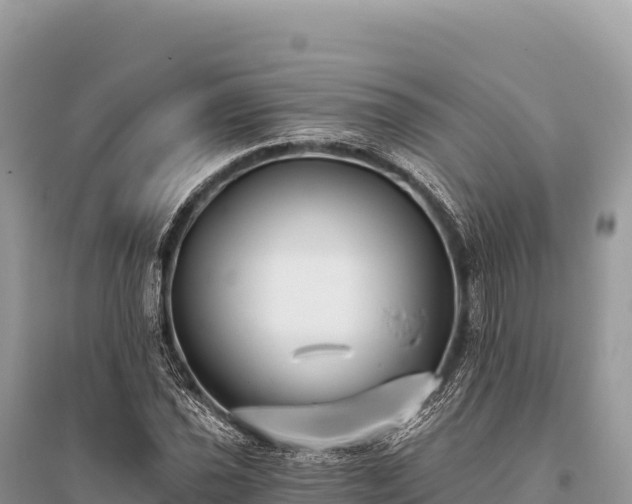 X0000096181021200801251211