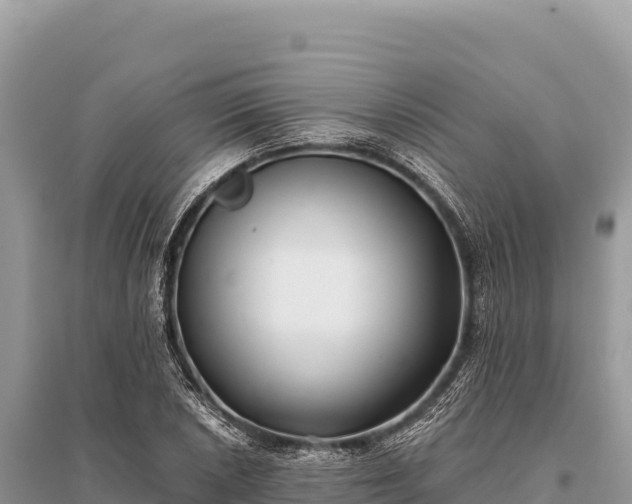 X0000096181026200801251211