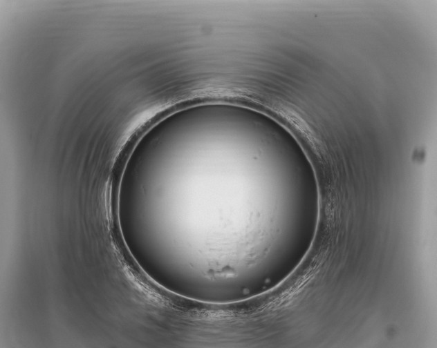 X0000096181030200801251211