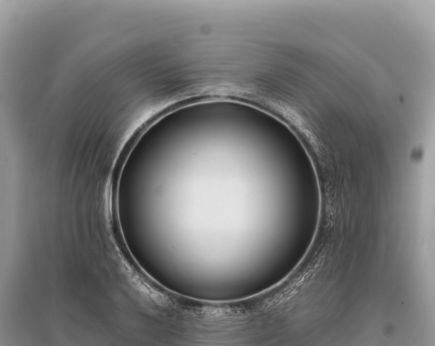 X0000096181032200801251211