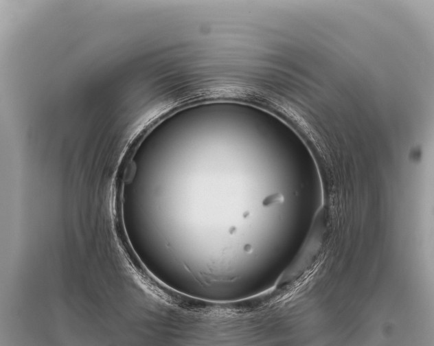 X0000096181034200801251211