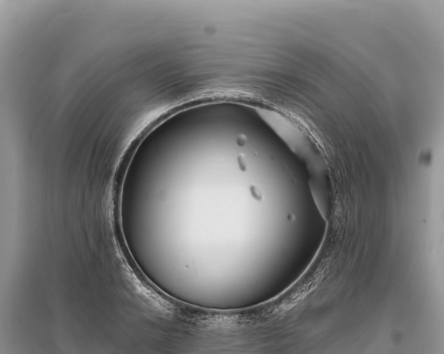X0000096181038200801251211
