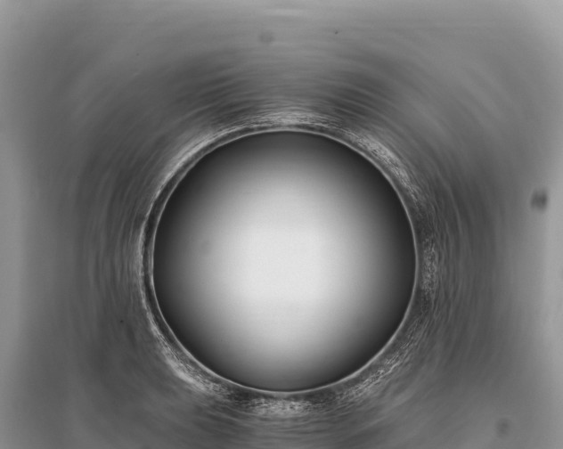 X0000096181039200801251211