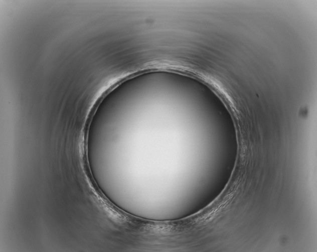 X0000096181040200801251211