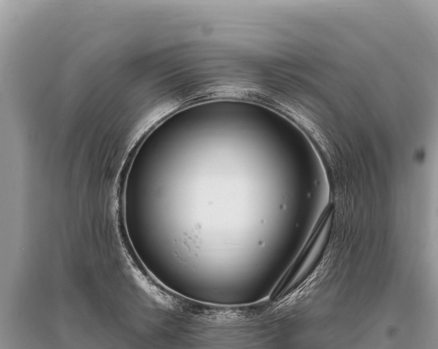 X0000096181042200801251211