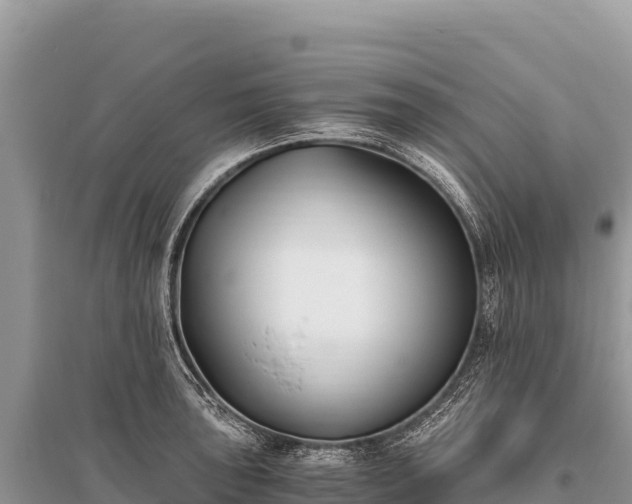X0000096181043200801251211
