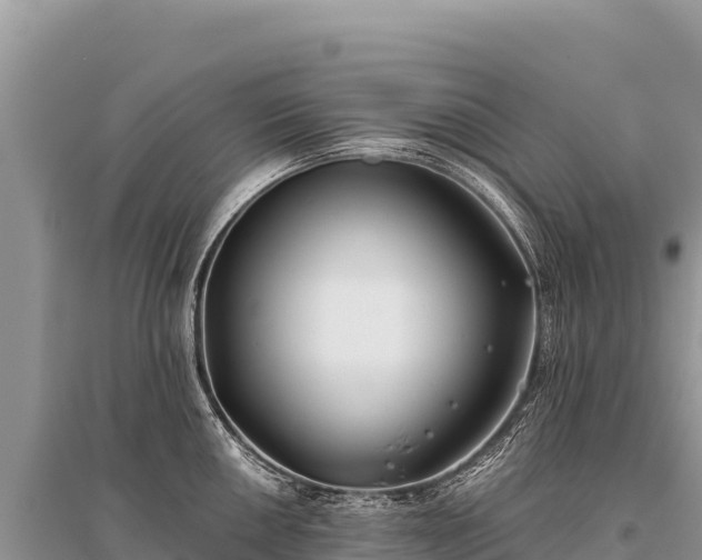 X0000096181050200801251211