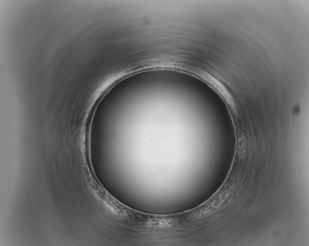 X0000096181051200801251211