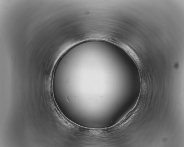 X0000096181052200801251211