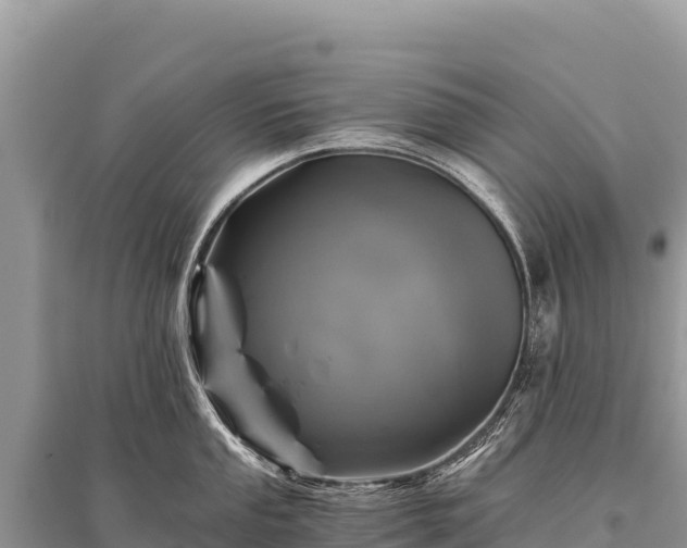 X0000096181053200801251211