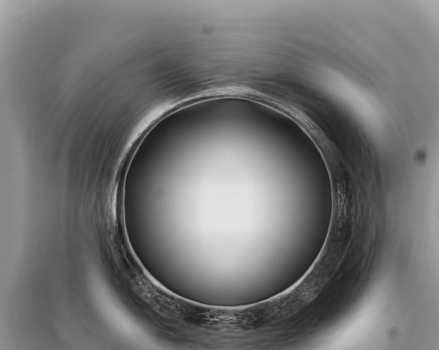 X0000096181054200801251211
