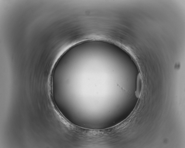 X0000096181056200801251211