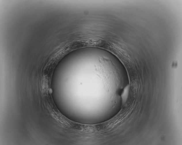 X0000096181058200801251210
