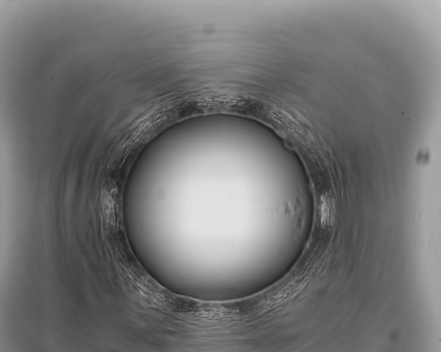 X0000096181059200801251210