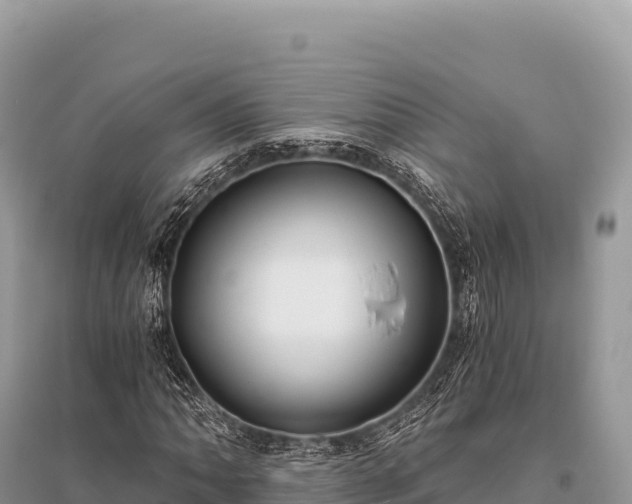 X0000096181062200801251210