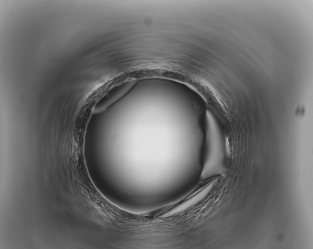 X0000096181064200801251210