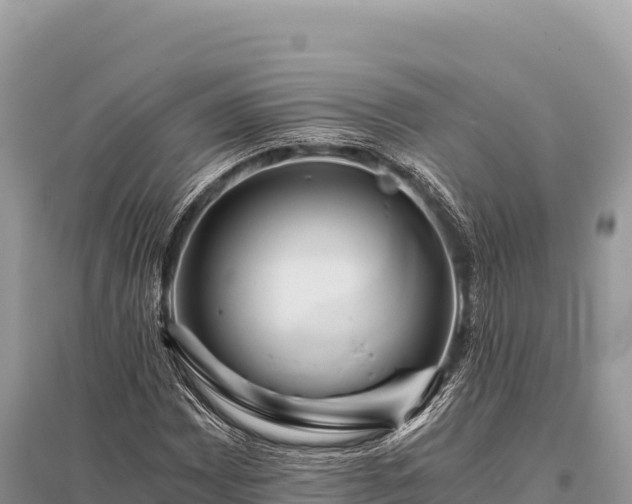 X0000096181065200801251210