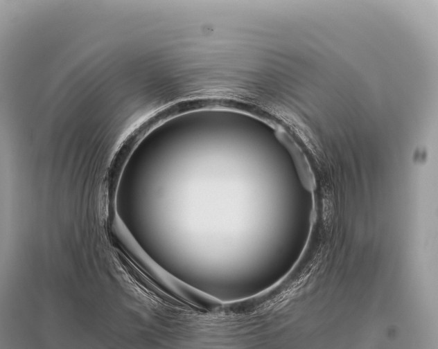 X0000096181069200801251210