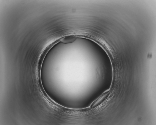 X0000096181072200801251210