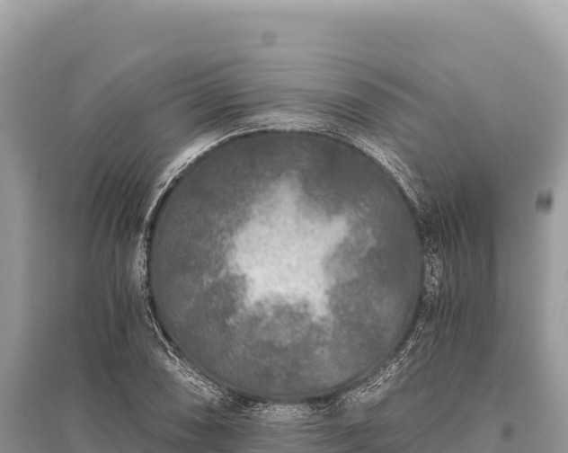 X0000096181074200801251210