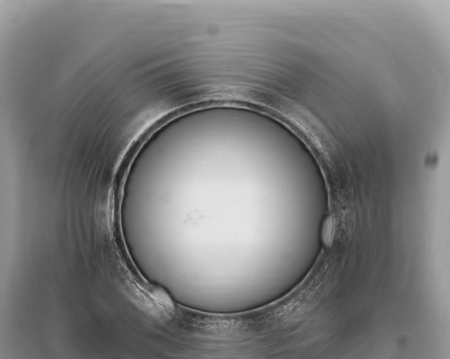 X0000096181076200801251210