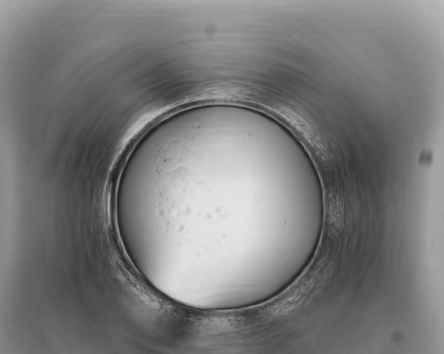 X0000096181078200801251210