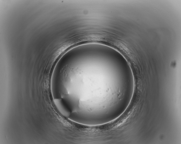 X0000096181081200801251210
