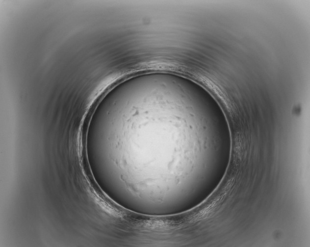 X0000096181082200801251210