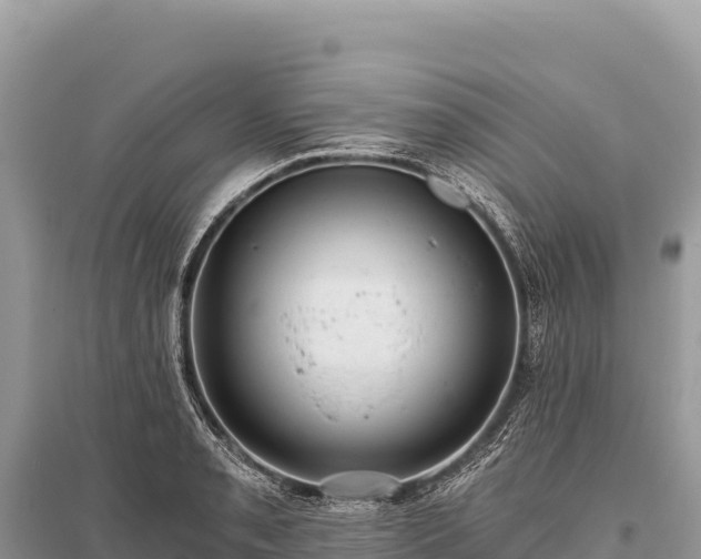 X0000096181085200801251210