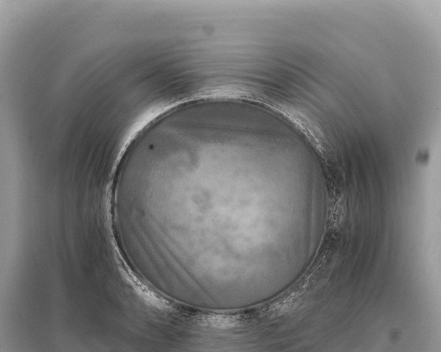 X0000096181086200801251210
