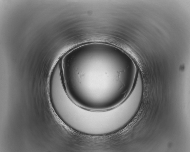 X0000096181088200801251210