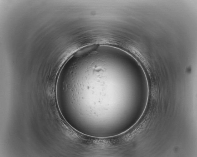 X0000096181089200801251210
