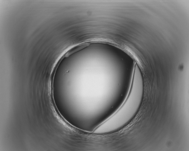 X0000096181092200801251210