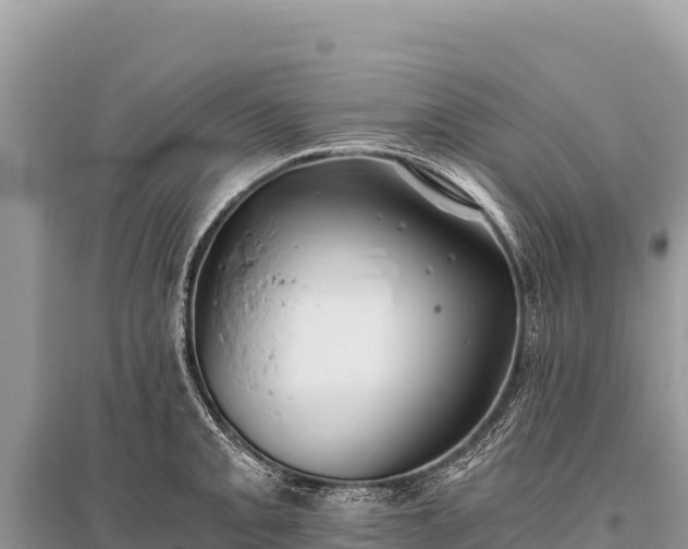 X0000096181093200801251210
