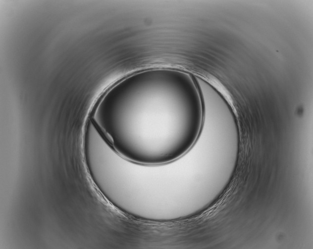 X0000096181096200801251210