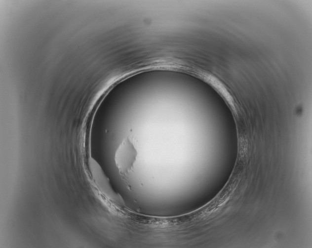 X0000096181099200801251210