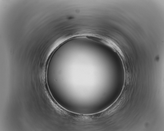 X0000096181101200801251210