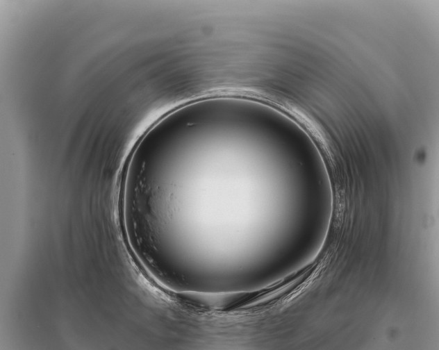 X0000096181102200801251210